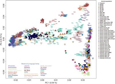 Ancient genomes reveal the origin and evolutionary history of Chinese populations